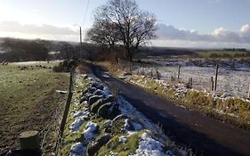 The Hillock